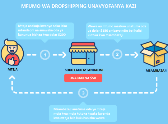 Dropshipping in Tanzania – Can You Really Make Money Without Hassle?