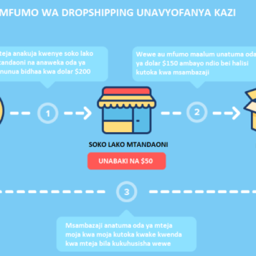 Dropshipping in Tanzania – Can You Really Make Money Without Hassle?